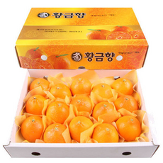 농장직송 제주도 고당도 황금향 대(14~16과), 1개, 3kg