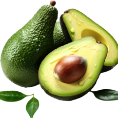 레브 슈퍼푸드 뉴질랜드 칠레 페루 아보카도 대과 220g내외, 5개