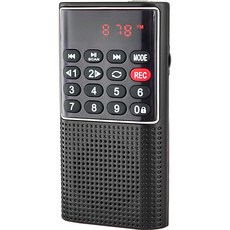 효도 라디오 등산용 휴대용 슬림 충전형 L-328, 블랙