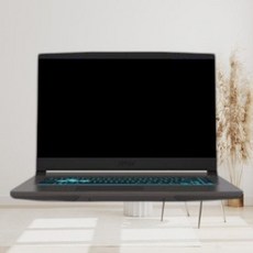 MSI 2024 씬 15 코어i5 인텔 12세대 지포스 RTX 4050, 코스모스그레이, 1TB, 8GB, Free DOS, Thin 15 B12VE MS-16R
