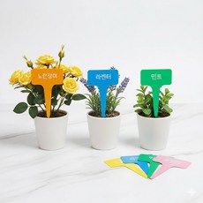 원예용 t형 플라스틱이름표 화분 네임택 식물이름표
