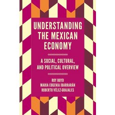 Understanding the Mexican Economy: A Social Cultural and Political Overview Hardcover, English, 9781787690660