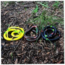 뱀 모형 장난감 리얼 고무 소재 야외 놀이 캠핑 서바이벌 체험 교육용 파충류 피규어