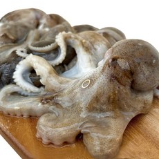 [산지직송] 새벽조업 쭈꾸미 제철 서해안 봄 활 생물 알 국내산, 1kg, 1개