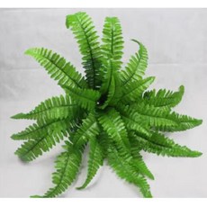 仿真蕨類植物, 仿真波斯草植物, 1個