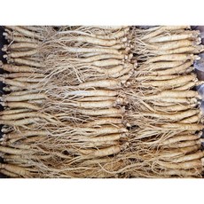 영업용삼계탕 6년근삼계251g(14-27뿌리) 300g/500g백숙용 튀김용 업소용 무료세척 무료산지배송, 252g, 1개