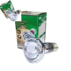 이햐 파충류 게코 레오파드 식용증진 UVA