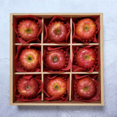 [추석선물] 4kg 청송 사과 중대형 (9과), 1개