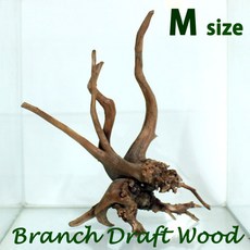 WT 가지유목 M (15~25cm)/ 수족관 어항 장식품 수초 모스 활착 레이아웃 나무 구피 열대어 은신처 뿌리, 1개