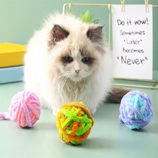 poongshop 고양이 털실공 애묘용품