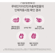 캡슐 루테인 눈비타민 아이원 안국건강 미니 식품 60캡슐 3개, 1개, 60정