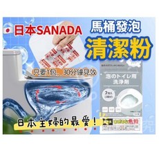 SANADA 馬桶發泡清潔粉 30分鐘見效, 80g, 1個