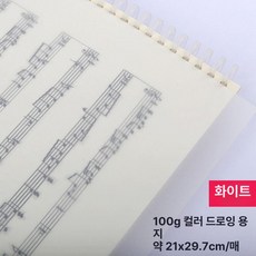 컬러 트레이싱지 트레싱지 용지 다꾸 스크랩북 공예, 1개, A4 100g 화이트 20장