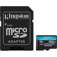 Kingston 킹스턴 캔버스 고 플러스 마이크로SD 카드, microSD Card without adaptor (, 256GB, 256GB, 1개