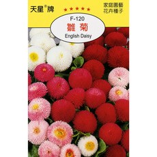 天星牌雛菊種子 F-120 野菜部屋 English Daisy 花卉種子, 1包