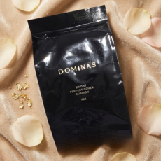 TG 티지 도미나스 브라이트 퍼펙트 커버쿠션 시즌2 15g 리필 또는 본품+리필 중 택 1, 04. 23호 리필, 1개