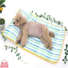 사심몰 패리스독 여름낮잠베드 반려견쿠션