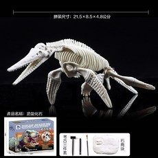 兒童考古玩具 挖掘模型恐龍 挖掘化石 科普玩具 滄龍, 1個
