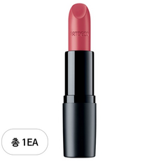 아르데코 퍼펙트 매트 립스틱, 1개, 173호 스키퍼스 러브