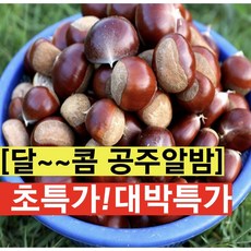 자이언트농산 국내산 공주밤 정안밤 약단밤 군밤용밤, 1박스, 2kg