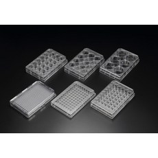 SPL 셀컬처 플레이트 Multi well cell culture plate, 선택3 30024_24well