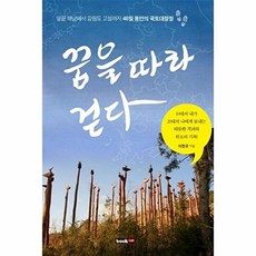 꿈을 따라 걷다:땅끝 해남에서 강원도 고성까지 46일 동안의 국토대장정, 북랩, 이현규 저