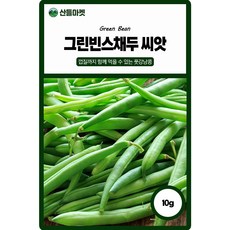 아시아종묘 그린빈스채두 씨앗 10g, 2개
