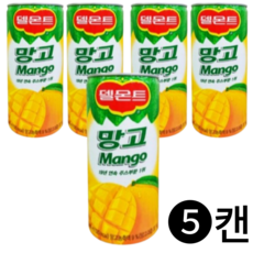 델몬트 망고 40캔, 240ml, 5개