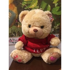 TEDDY HOUSE 泰迪熊 TEDDY BEAR 胖胖毛衣紀念泰迪熊, 1個