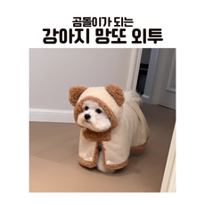 BLACK K7 반려동물 옷 후디 망토 담요 곰돌이 가을 겨울 고양이 강아지옷, 1개, 베이지