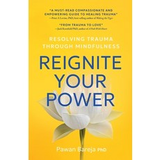 (英文圖書)Reignite Your Power 平裝版, Shivansh Healing Press, 英文