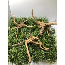 邦邦水族 杜鵑沉木 流木 默絲樹, 1個, 一顆（隨機）10-15cm