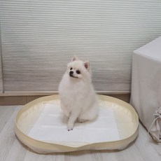 피피 강아지 애견 수컷 배변판 배변매트 방수 화장실, 1개