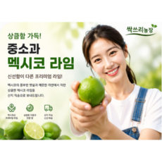 멕시코산 생라임 500g 1kg 고당도 대과 Lime 에이드 모히또재료 과일, 1개, 라임 중소과(70g내외) 10과