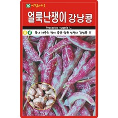 아람종묘 얼룩난쟁이 강낭콩 씨앗 30g 얼룩 난쟁이 강낭콩씨 종자, 4개