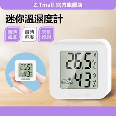 TIBOOS 迷你溫濕度計 實時室內溫度濕度監測器, 1個, 白, 白