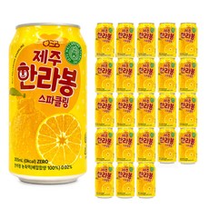 천지개벽음료 제주 한라봉 스파클링, 355ml, 24개