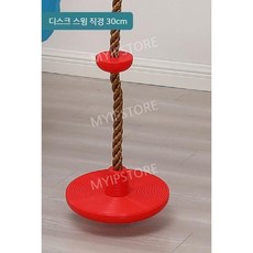 실내그네 감각 운동 놀이기구 훈련 정글짐 반원 2인용 인용 주택 펜션 놀이터 플레이룸 체육, 디스크 모습 직경 30 cm, 1개