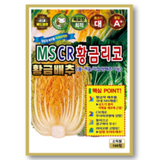 황금배추씨앗(100립) 항산화물질 함유 CR계 배추 씨 종자, 1개