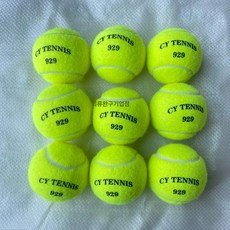 컬러 테니스 공 핑크 연습 세트 연습용 선물, 형광그린 929 트레이닝 9개