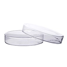 60mm유리페트리디쉬(샬레)/2개/JS-42389