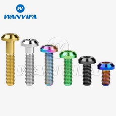 Wanyifa 티타늄 볼트 M8x15 20 25 30 35 40mm 알렌 키 버튼 헤드 나사 자전거 오토바이 브레이크, 02 20mm, 01 엠8, 02 Bronze