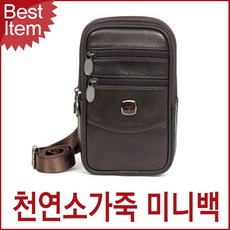 블루캣츠 블루마운트 207 천연소가죽 남성 미니백