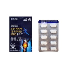 종근당 정품 관절연골엔 뮤코다당단백 콘드로이친 1200 플러스, 60정, 1개