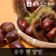 국내산 공주밤 공주 햇 알밤 특대 (칼집X), 1개, 4kg