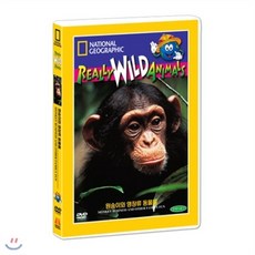 [DVD] [내셔널지오그래픽] 원숭이와 영장류 동물들 (Monkey Business and Other Family Fun DVD)