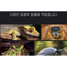 집사사랑 대형 아크릴 사육장 크레 용품 도마뱀 사육장 파충류, H20 대형, 1