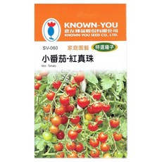 KNOWN-YOU農友種苗 小番茄-紅真珠種子，家庭園藝特選，迷你番茄品種，陽台盆栽適用, 1個