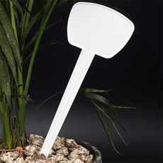 위드미쇼핑 화분이름표 식물표지판, T형