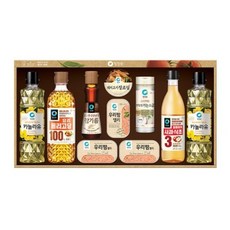 청정원 선물세트 9호 + 쇼핑백, 5세트